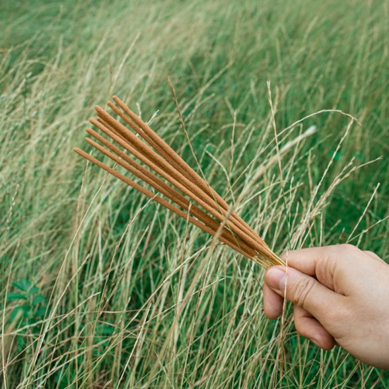 Sandalwood Incense Sticks